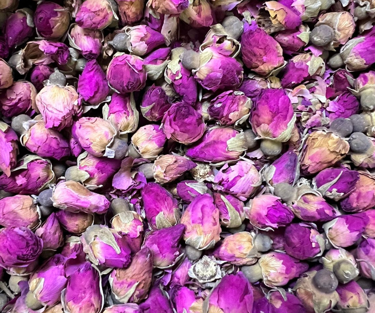 Untitled design - 2024-01-30T151343.269