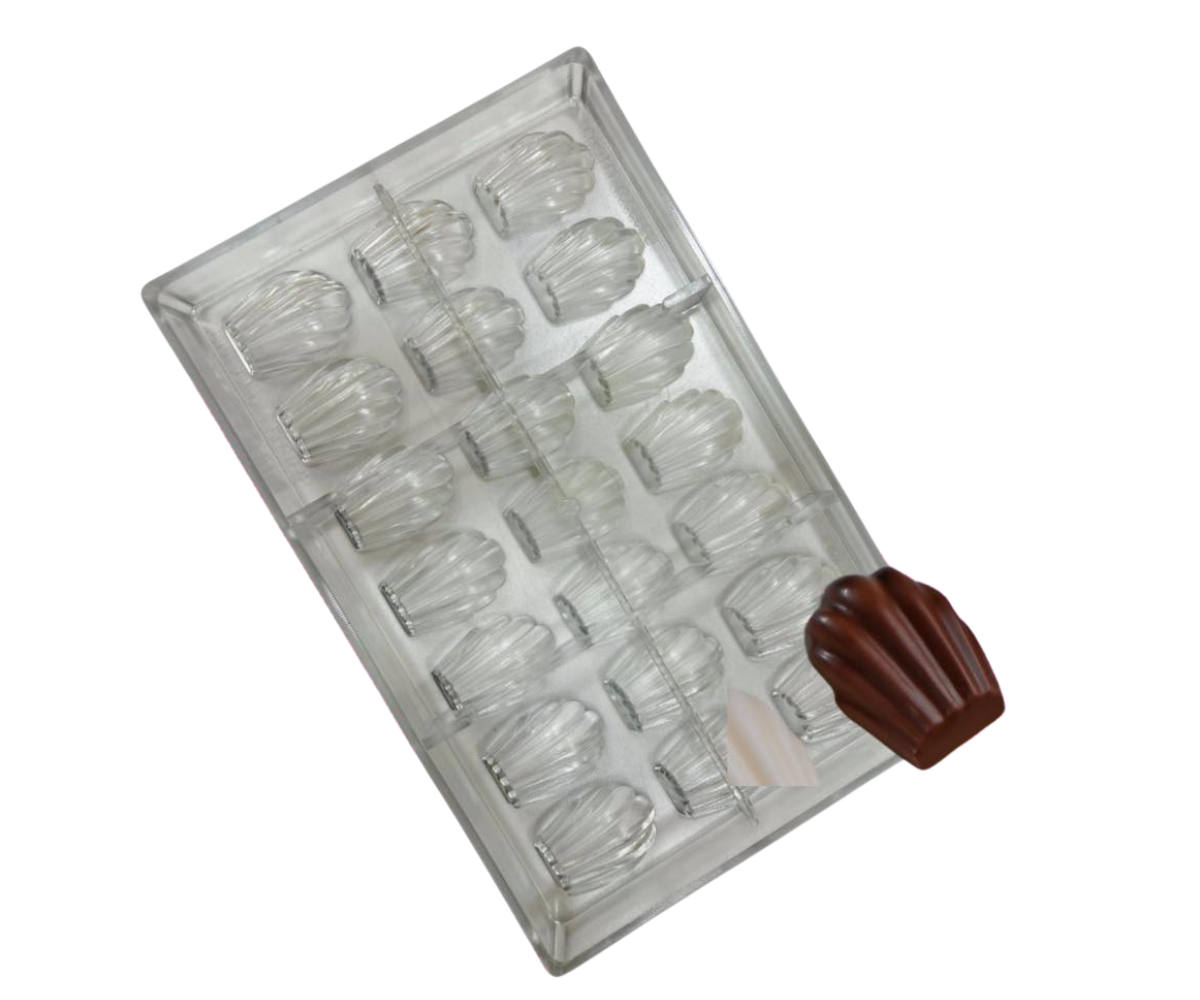 Untitled design - 2025-02-25T152459.367