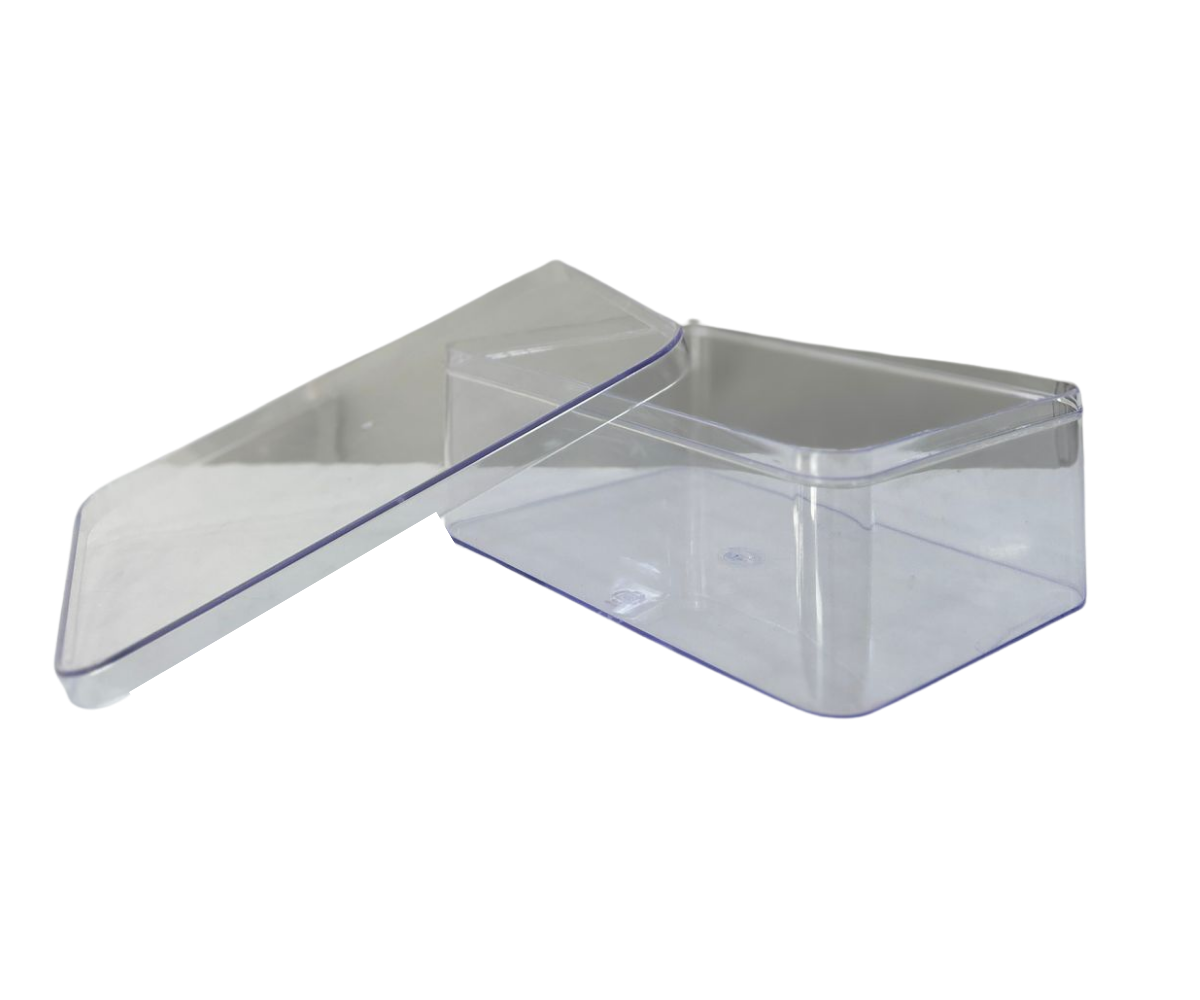 Untitled design - 2025-08-27T182327.192